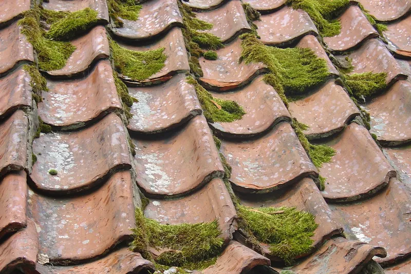 Dachreinigung